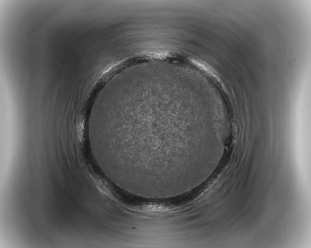 X0000085300596200703161435