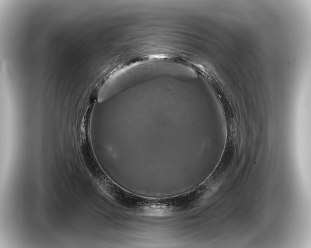 X0000085300598200703161435