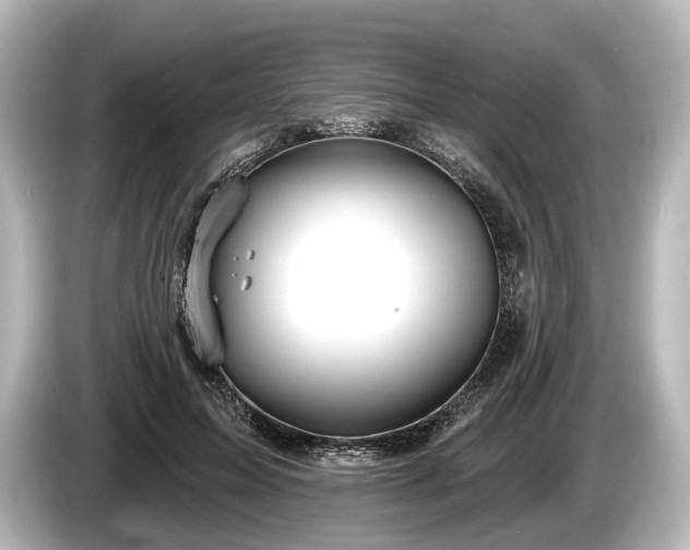 X0000085300599200703161435