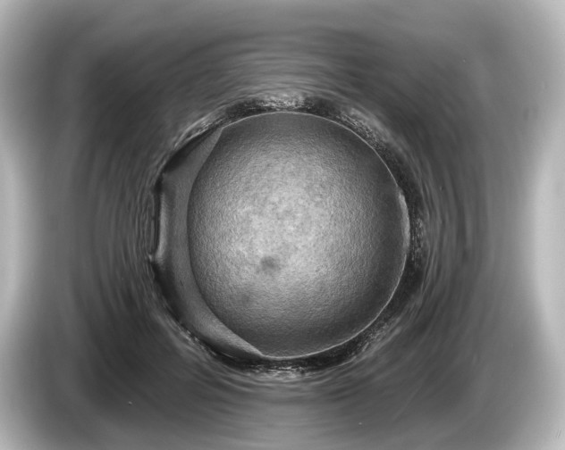 X0000085300600200703161435