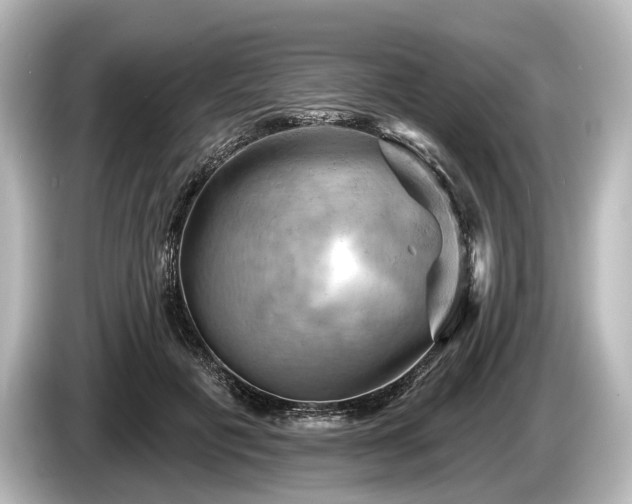 X0000085300601200703161435