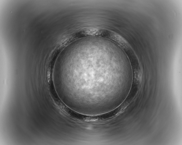 X0000085300602200703161435