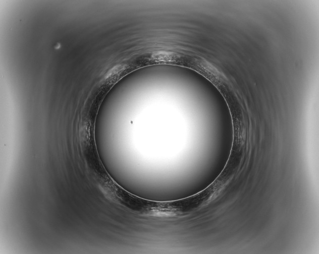 X0000085300603200703161435