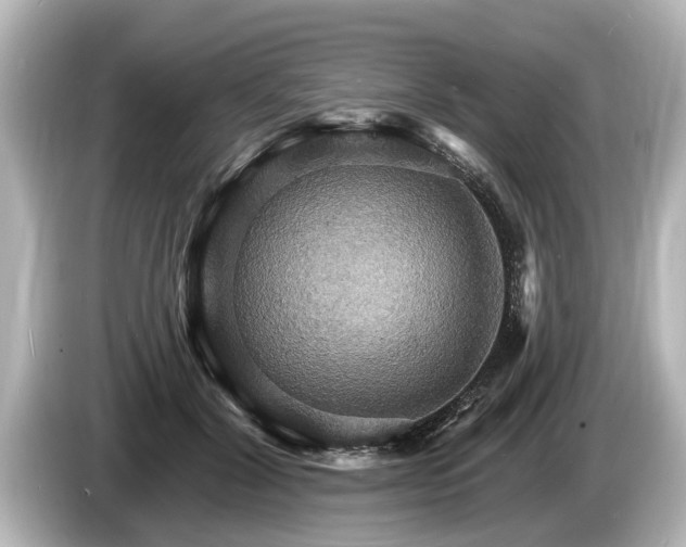 X0000085300604200703161435