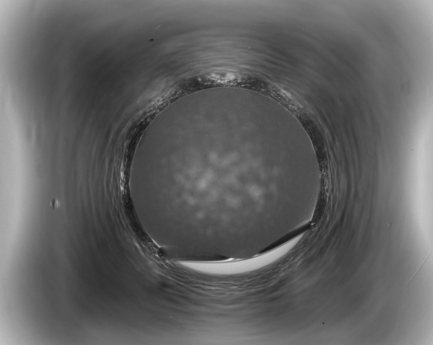 X0000085300606200703161435