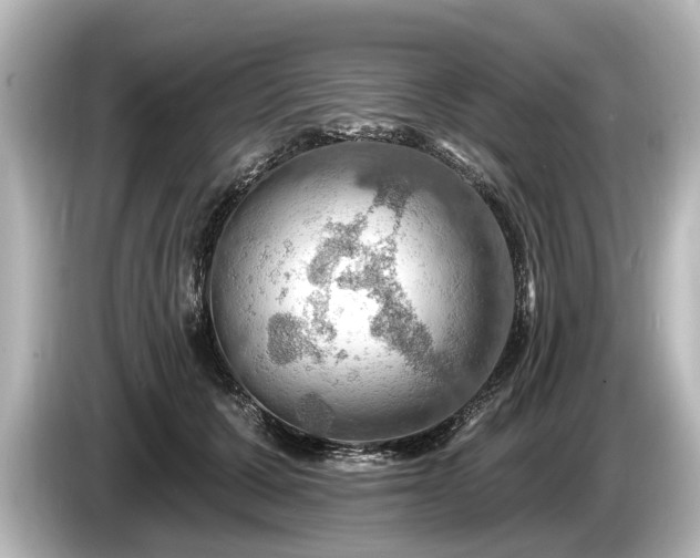 X0000085300607200703161435