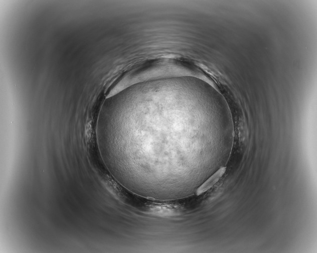 X0000085300611200703161435