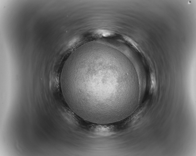 X0000085300613200703161435