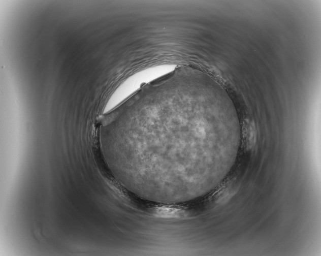 X0000085300614200703161435