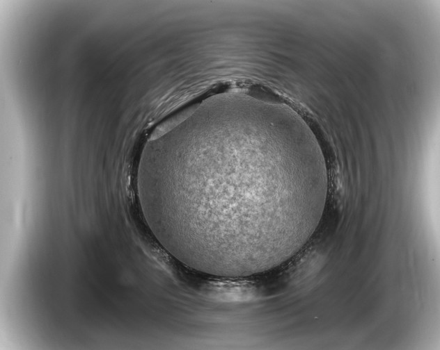 X0000085300615200703161435