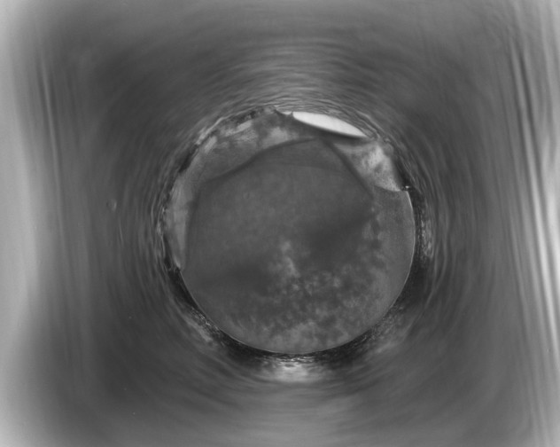 X0000085300618200703161435