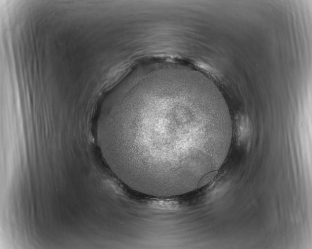 X0000085300619200703161435