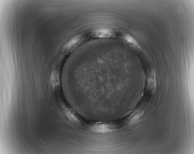 X0000085300620200703161435