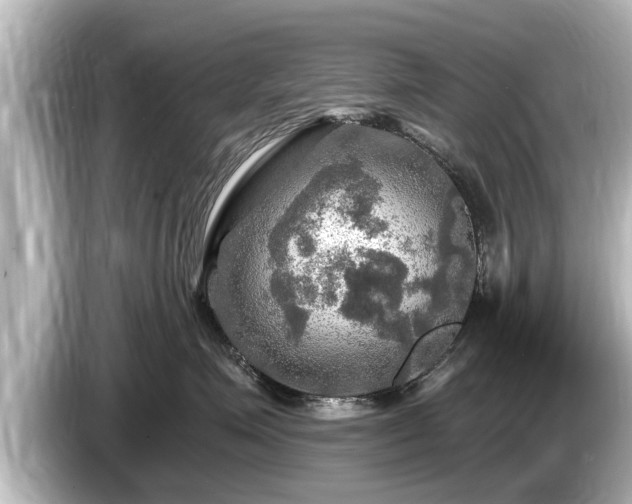 X0000085300623200703161435