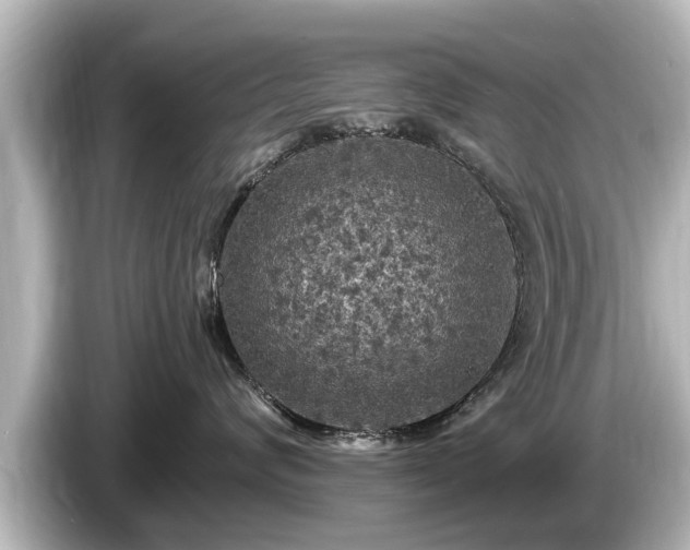 X0000085300624200703161435