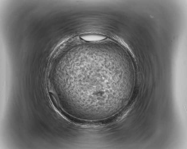 X0000085300625200703161434