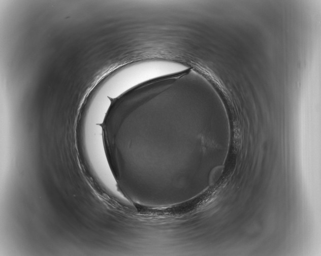 X0000085300626200703161434