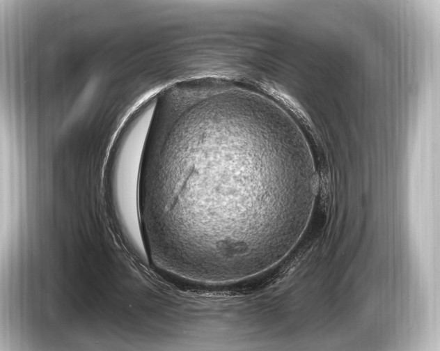 X0000085300628200703161434