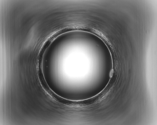 X0000085300629200703161434