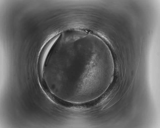 X0000085300630200703161434