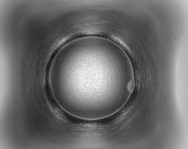 X0000085300631200703161434