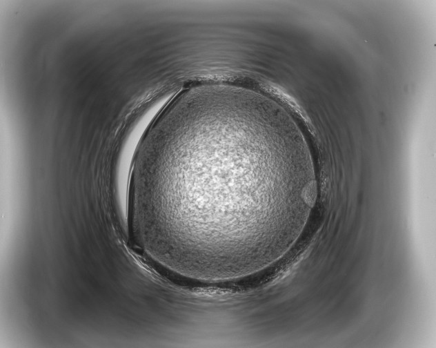 X0000085300633200703161434