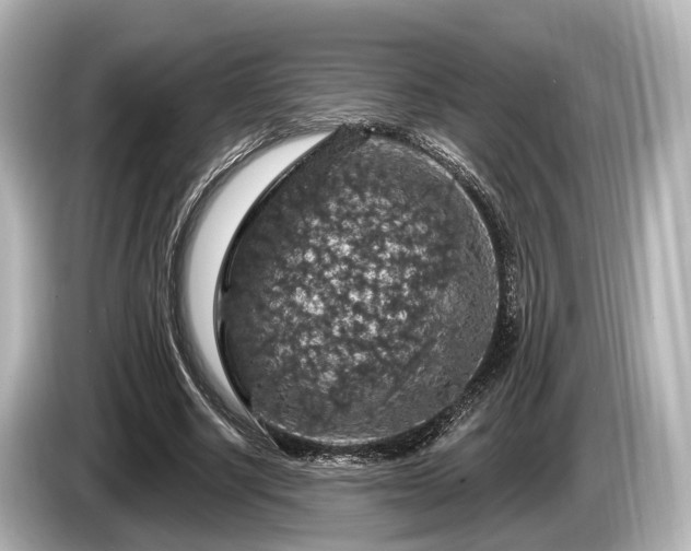 X0000085300634200703161434