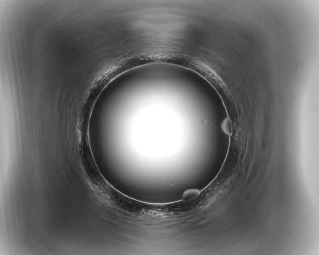 X0000085300635200703161434