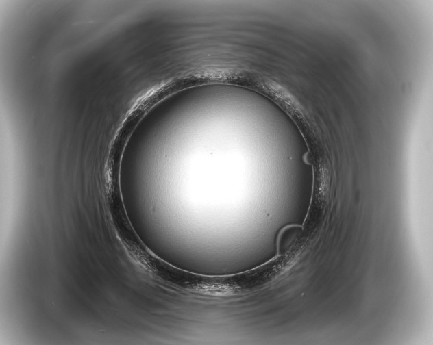 X0000085300636200703161434