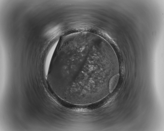 X0000085300637200703161434