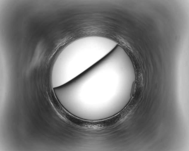 X0000085300638200703161434