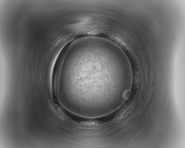 X0000085300639200703161434