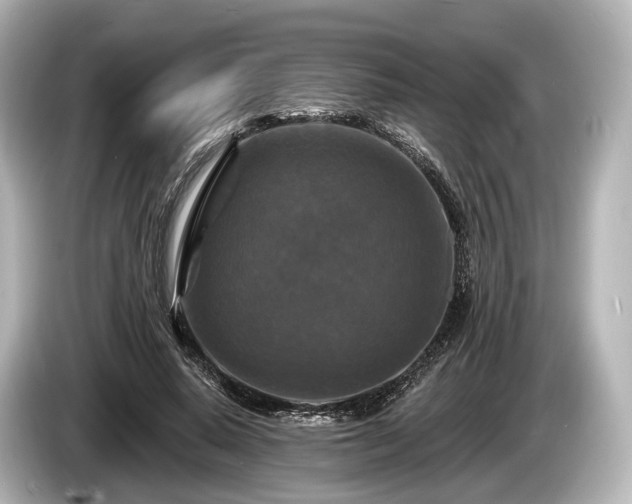 X0000085300640200703161434