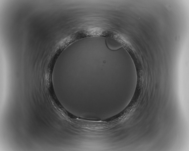 X0000085300641200703161434