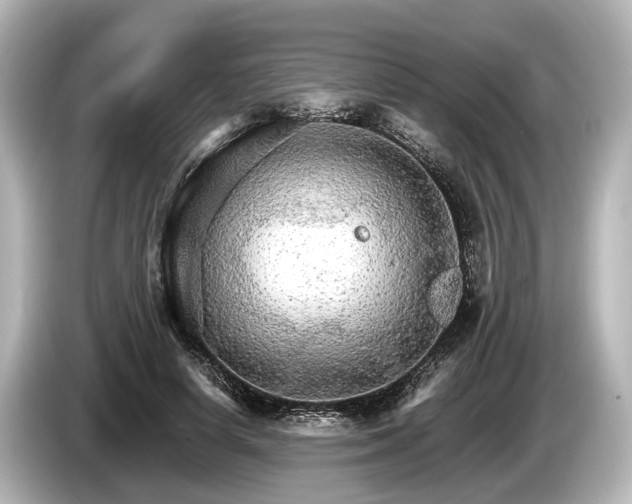 X0000085300642200703161434