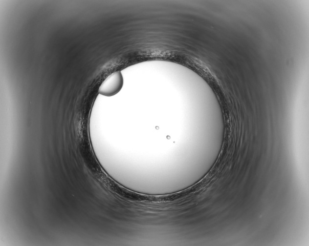 X0000085300643200703161434