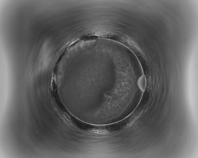 X0000085300644200703161434