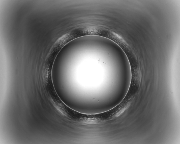 X0000085300645200703161434