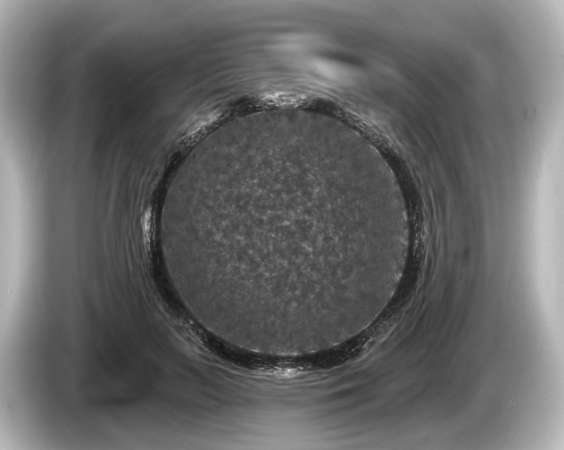 X0000085300647200703161434