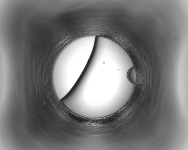 X0000085300648200703161434