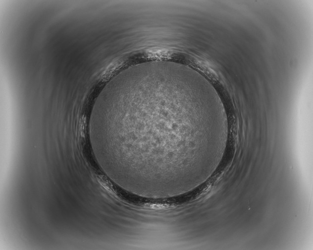 X0000085300649200703161434