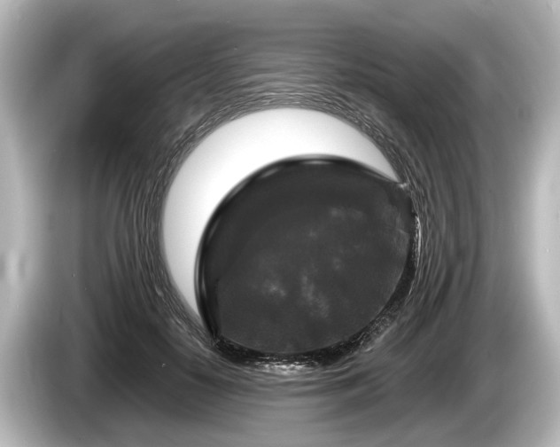 X0000085300650200703161434