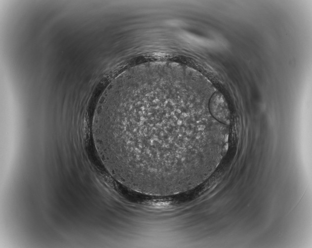 X0000085300651200703161434