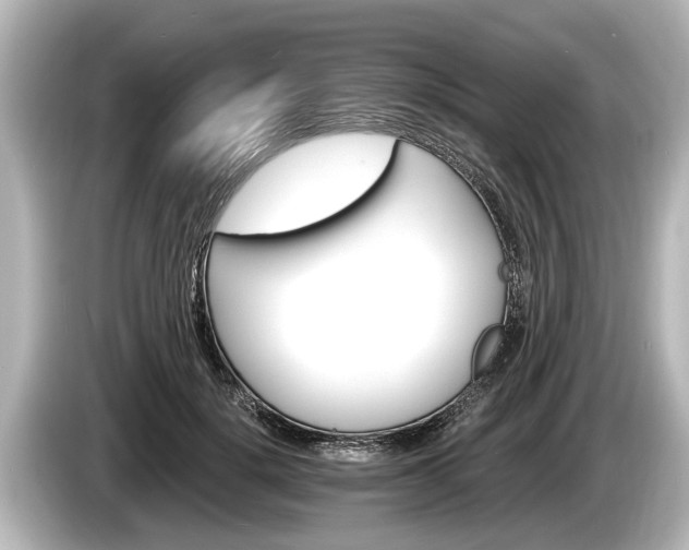 X0000085300652200703161434