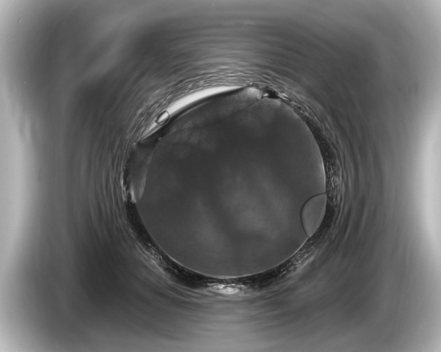 X0000085300654200703161434