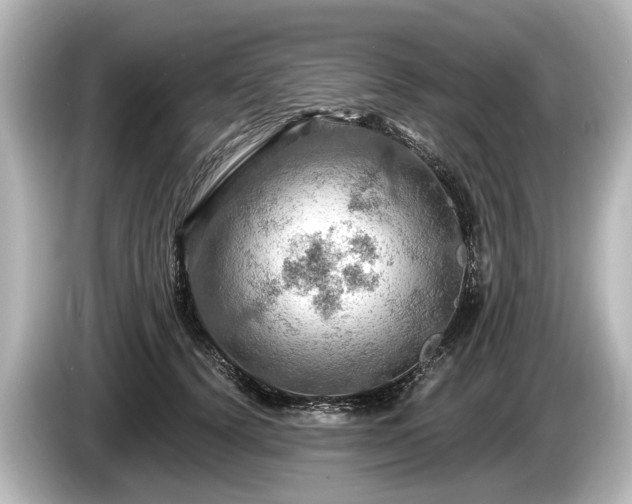 X0000085300656200703161435