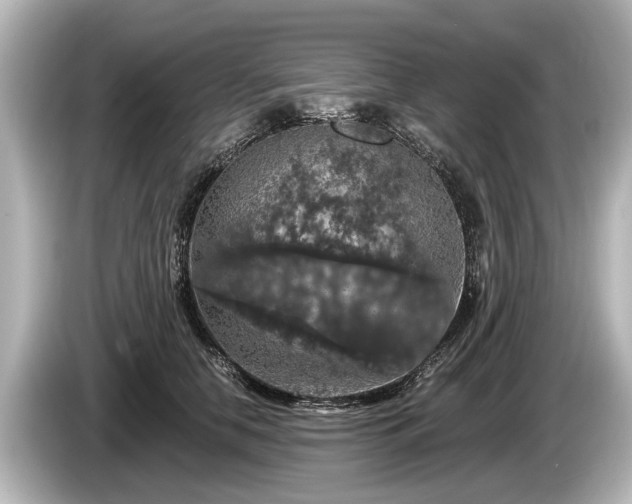 X0000085300658200703161435