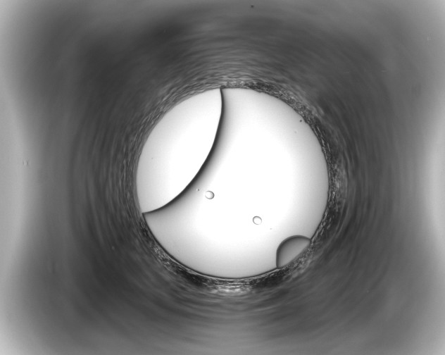 X0000085300659200703161435