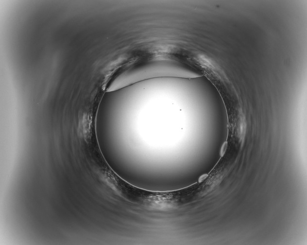 X0000085300660200703161435