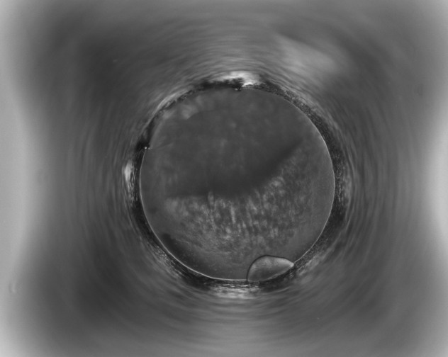 X0000085300661200703161435